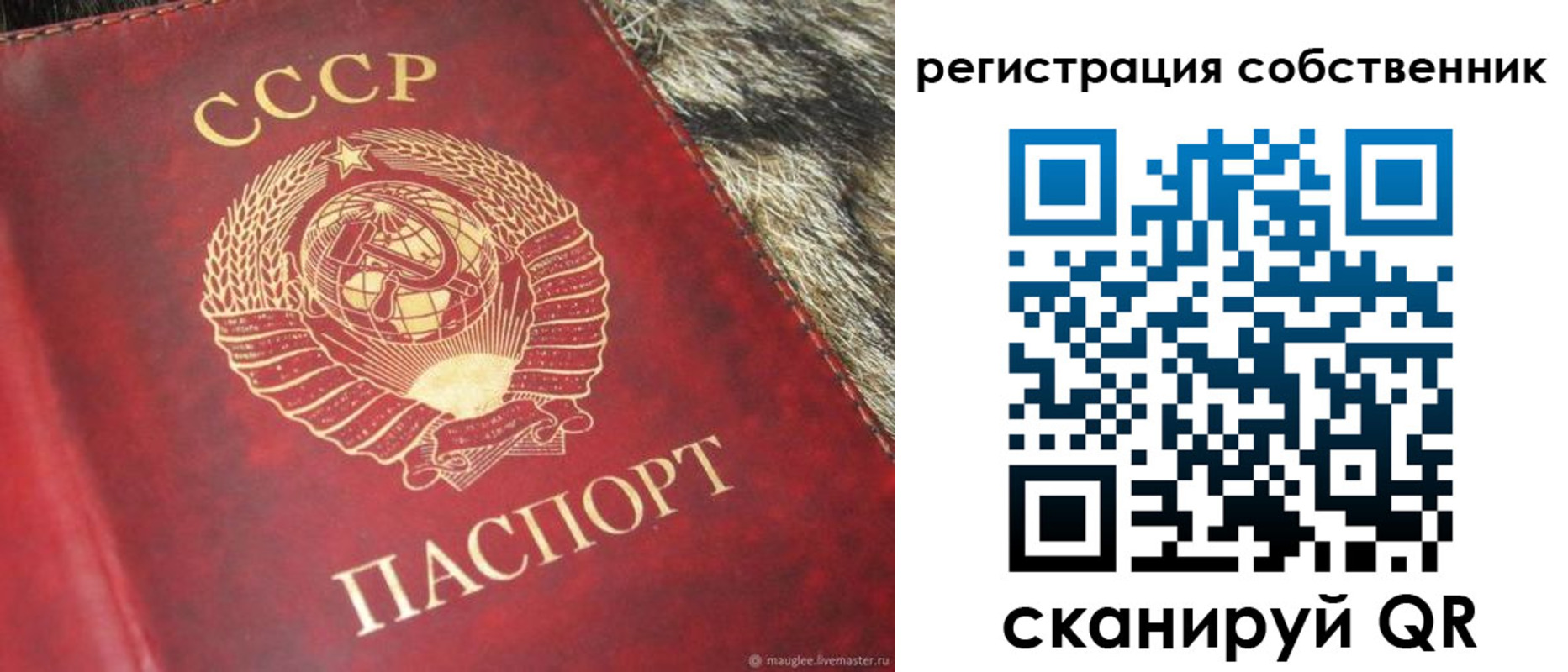 временная регистрация надежно в Заволжье